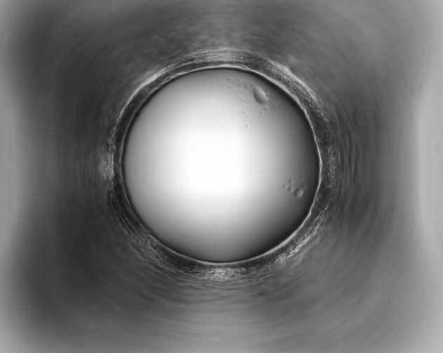 X0000094081166200711021508