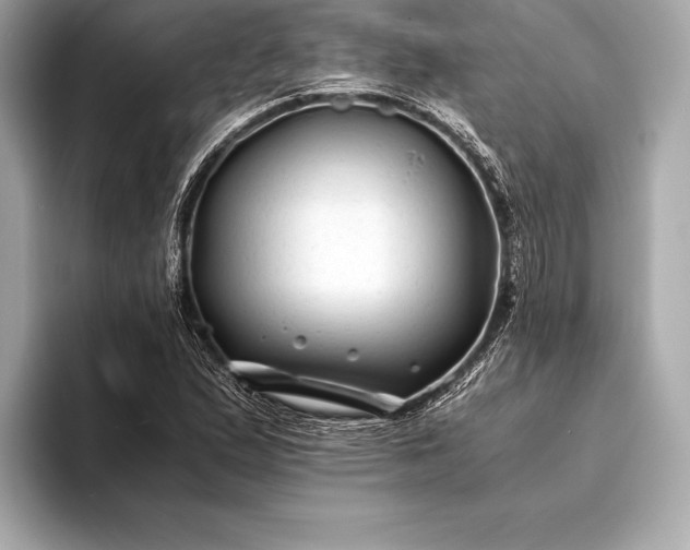 X0000094081167200711021508