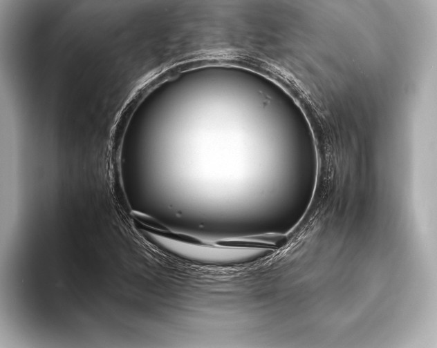 X0000094081168200711021508