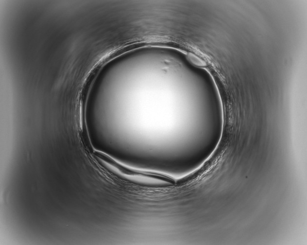 X0000094081171200711021508