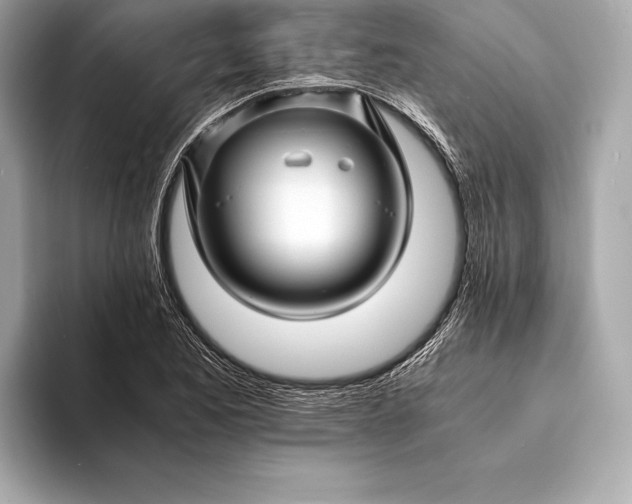 X0000094081173200711021508