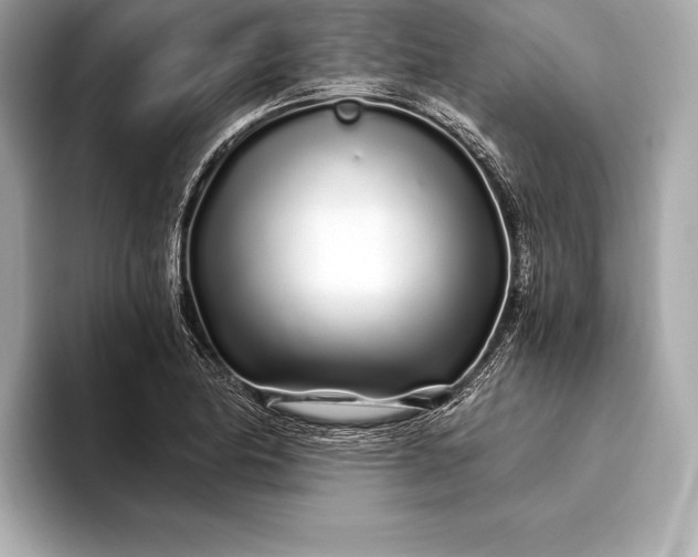 X0000094081174200711021508