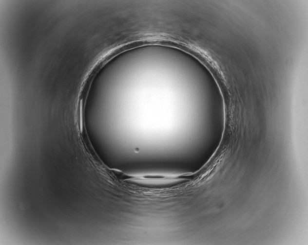 X0000094081175200711021508