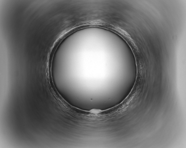 X0000094081176200711021508