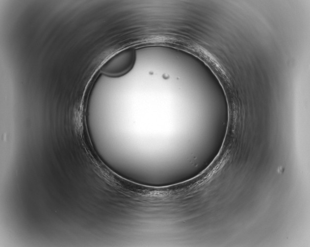 X0000094081178200711021508