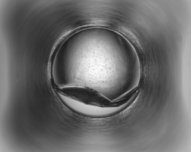 X0000094081180200711021508