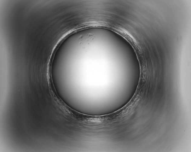 X0000094081182200711021508