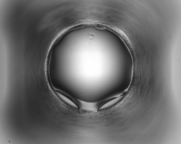 X0000094081183200711021508