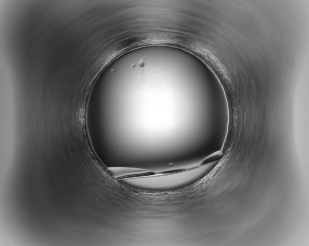 X0000094081185200711021508