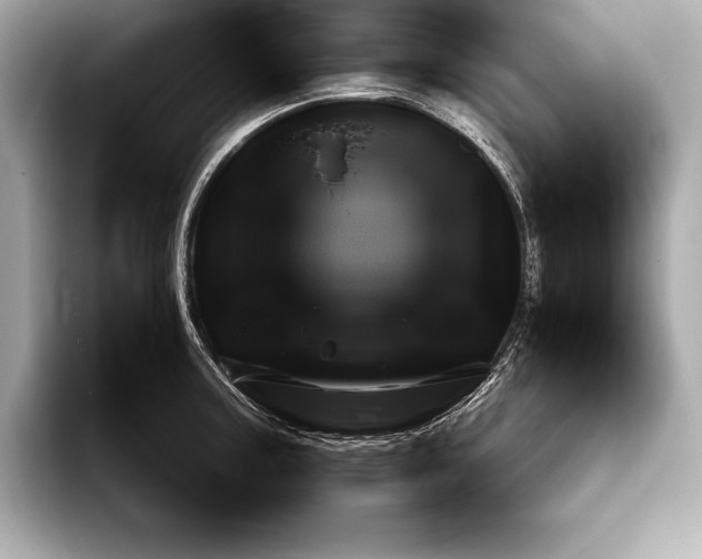 X0000094081187200711021508