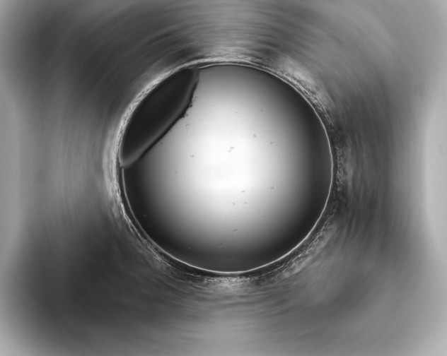 X0000094081188200711021508