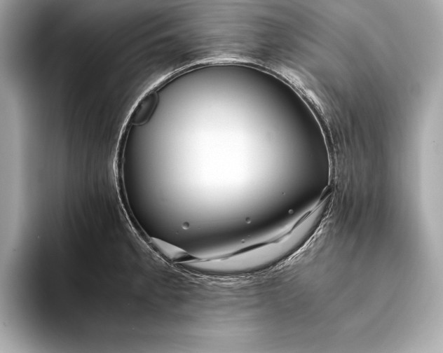 X0000094081189200711021508