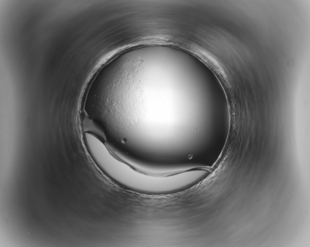 X0000094081192200711021507