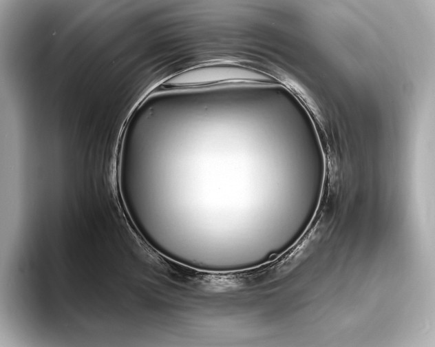 X0000094081194200711021507