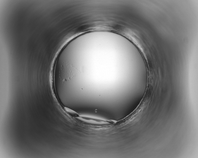 X0000094081195200711021507