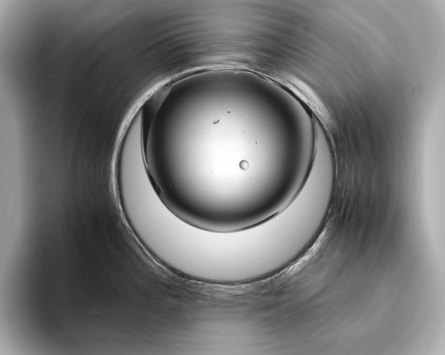 X0000094081196200711021507