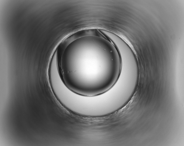 X0000094081197200711021507