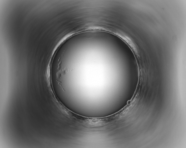 X0000094081198200711021507