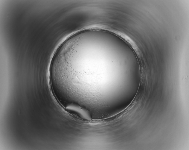 X0000094081199200711021507