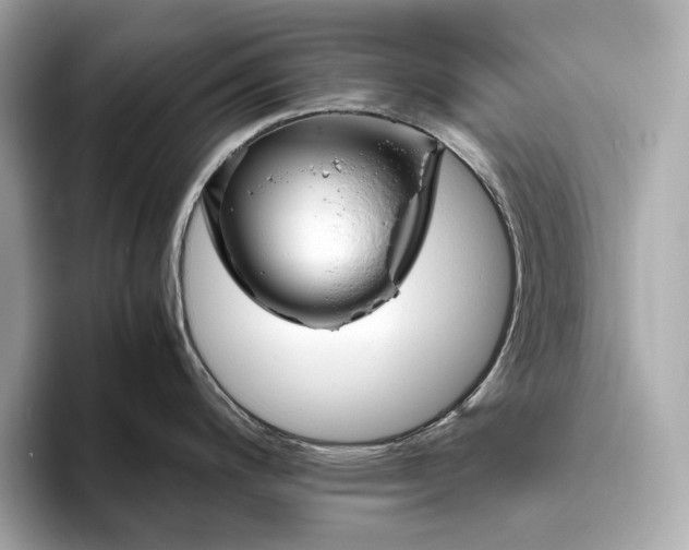 X0000094081200200711021507