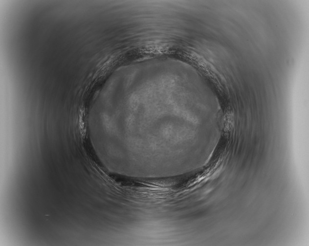 X0000094081202200711021507