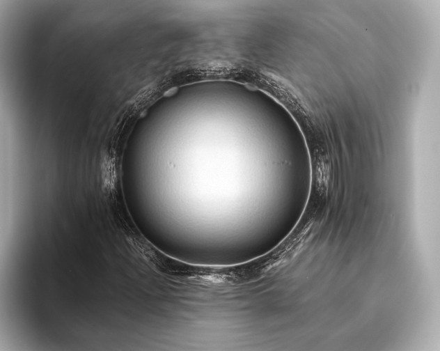 X0000094081204200711021507