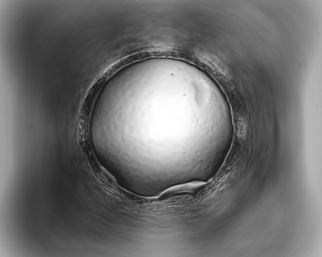 X0000094081208200711021507