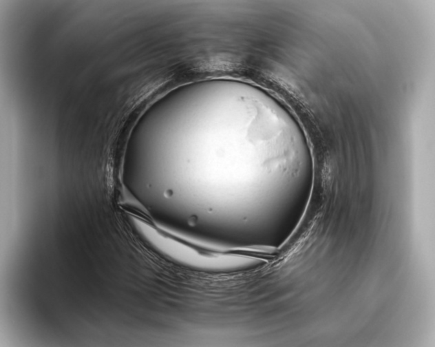 X0000094081209200711021507