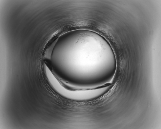 X0000094081210200711021507