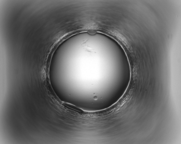 X0000094081212200711021507