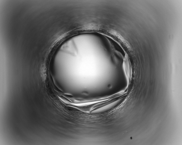 X0000094081213200711021507