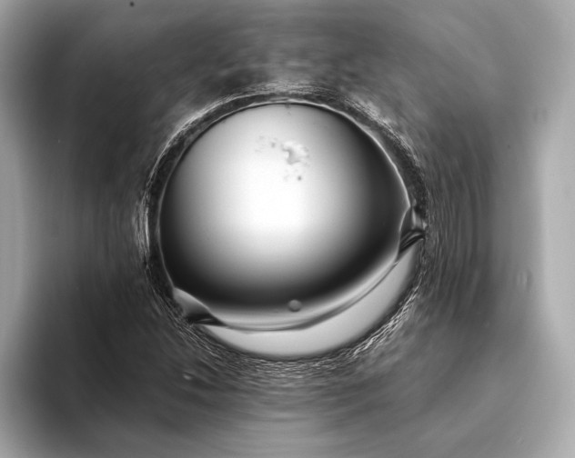 X0000094081214200711021507