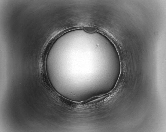 X0000094081215200711021507