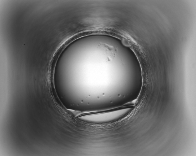 X0000094081216200711021507