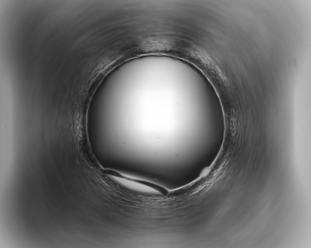 X0000094081217200711021507