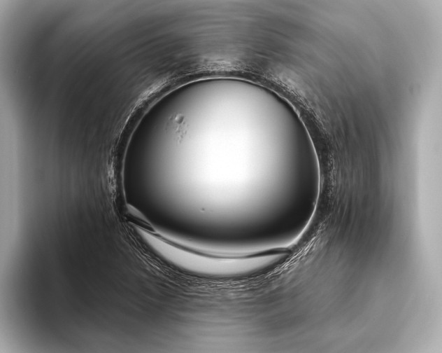 X0000094081218200711021507