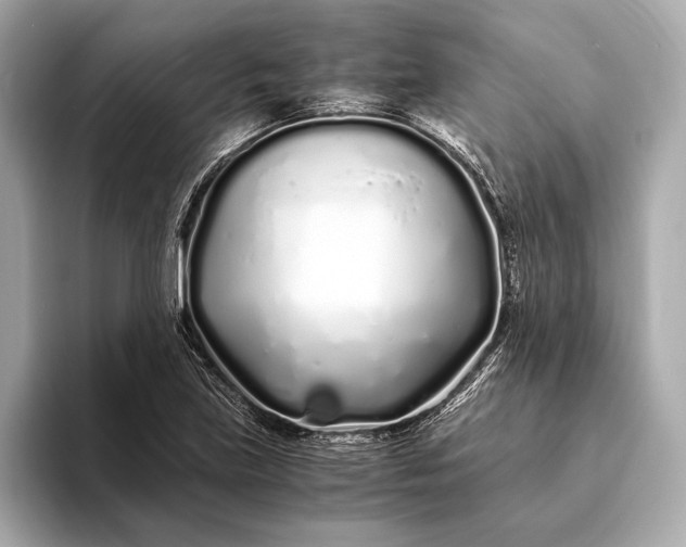 X0000094081219200711021507