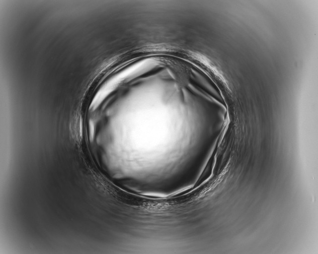 X0000094081221200711021507