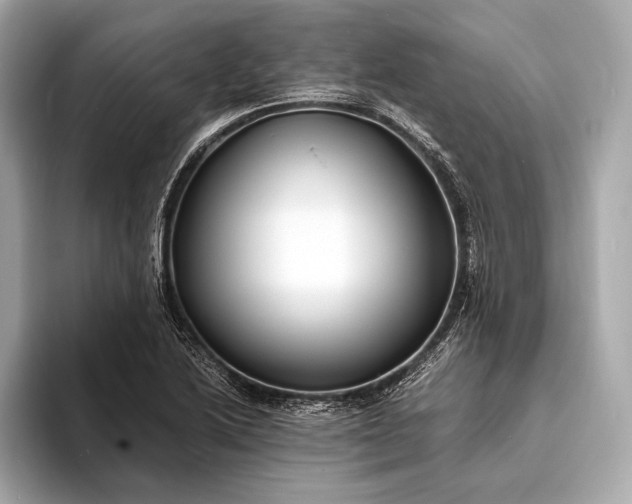 X0000094081222200711021507