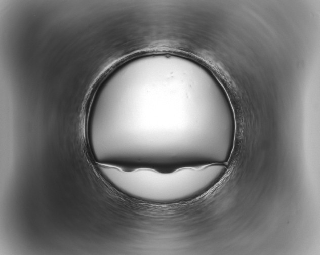 X0000094081224200711021507