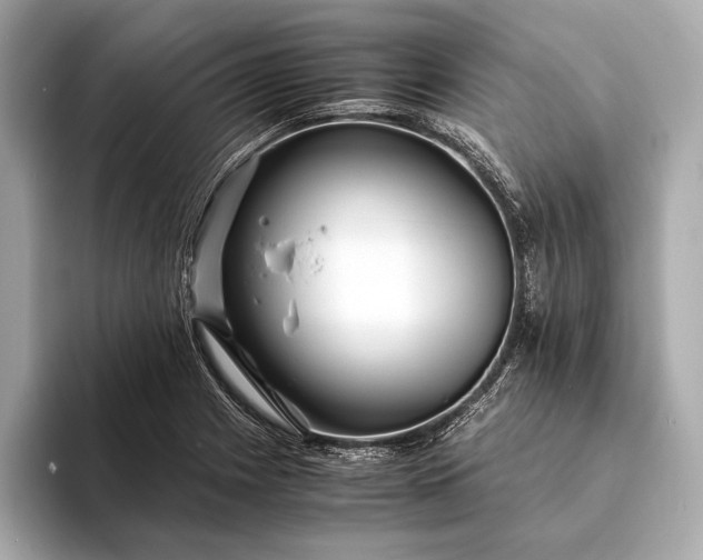 X0000094081225200711021507