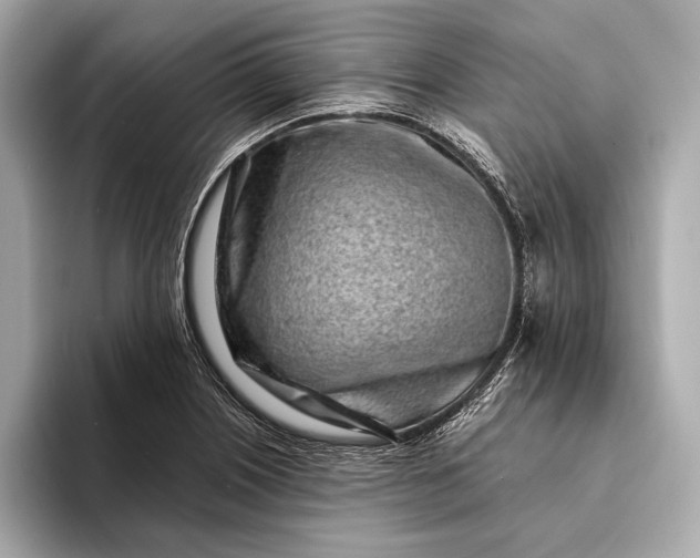 X0000094081226200711021507