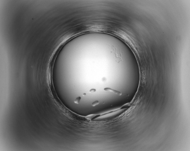 X0000094081227200711021507