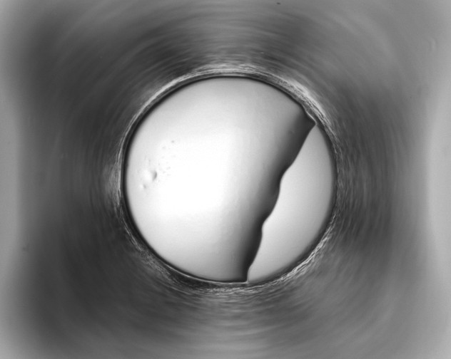 X0000094081228200711021507