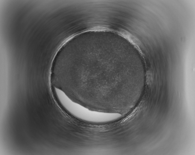 X0000094081229200711021507