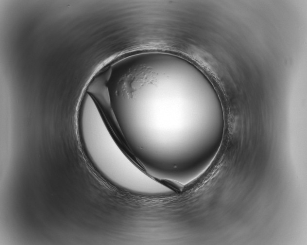 X0000094081230200711021507