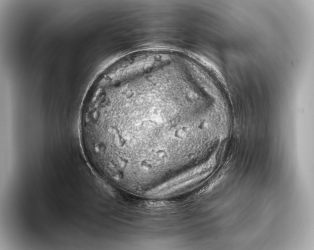 X0000094081231200711021507