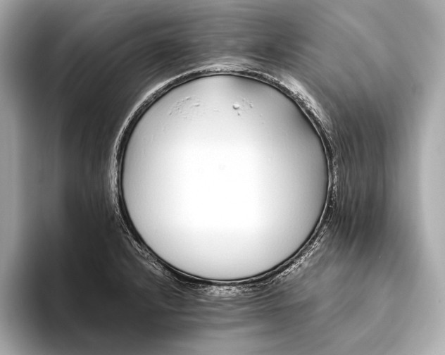 X0000094081232200711021507