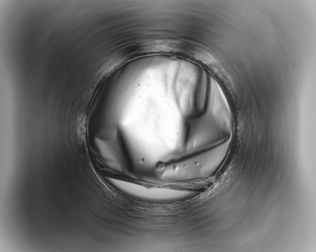 X0000094081233200711021507