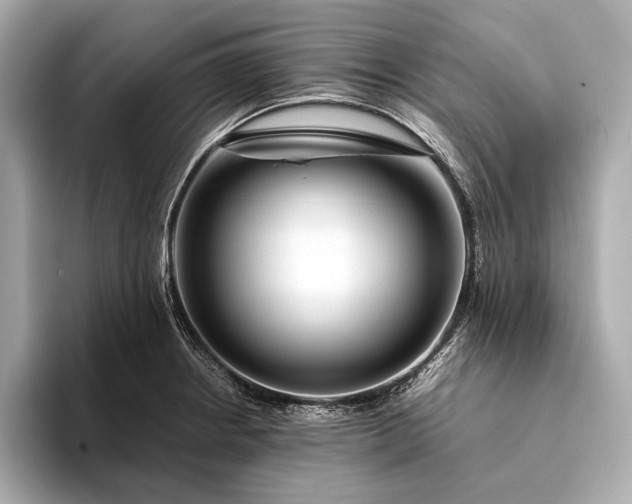 X0000094081234200711021507